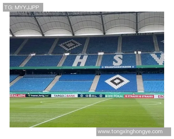 汉堡队主场失利,冲超前景黯淡 汉堡队主场失利,冲超前景黯淡