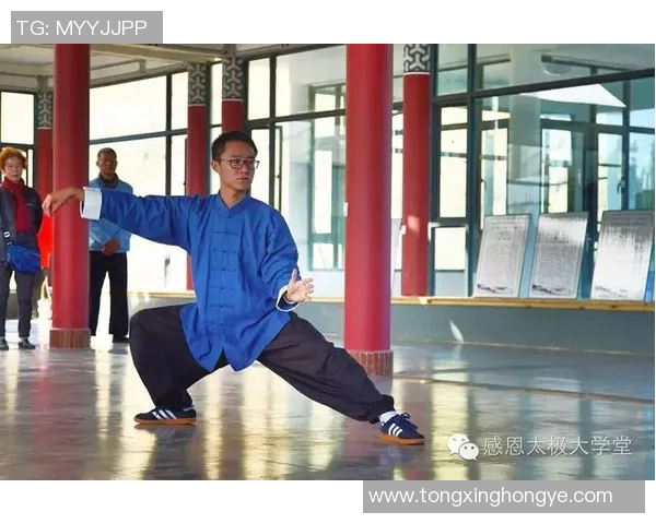 赵幼斌太极拳传承与创新之路探索与实践的深度剖析 赵幼斌太极拳传承与创新之路探索与实践的深度剖析