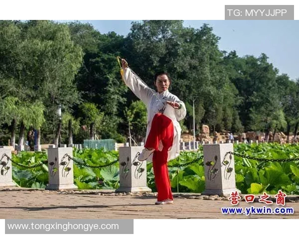 太极网名的魅力与文化内涵探讨，如何打造独特个性化的网络身份