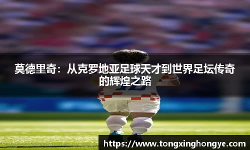 芒果体育在线登录