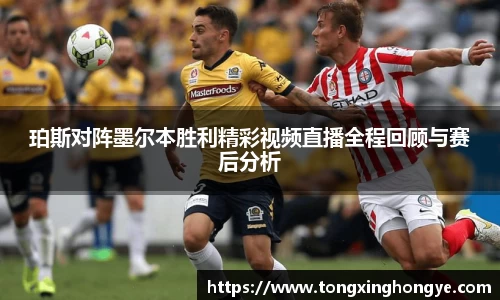 芒果体育在线登录