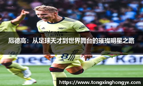 芒果体育在线登录